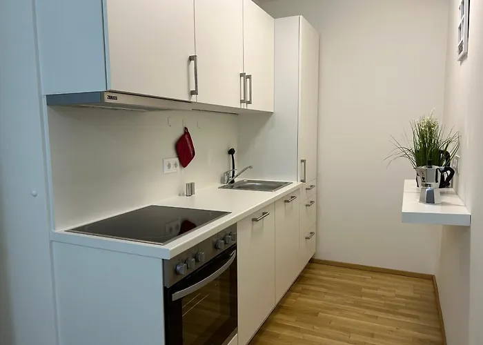 55 M2 Stylish With Balcony & Parking Vienna