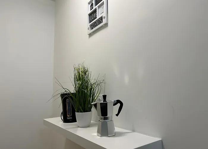 Apartment 55 M2 Stylish With Balcony & Parking Vienna